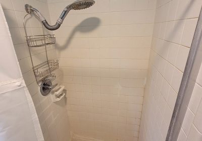 Doster Lake before 2